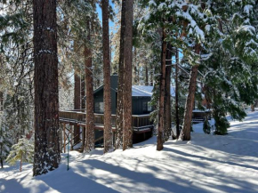 Sweet Arnold Cabin